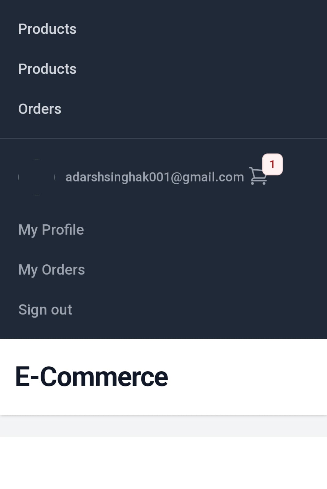 Frontend Error